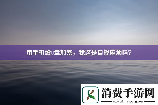 用手机给U盘加密
