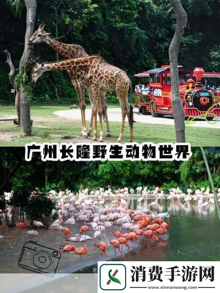 各位亲爱的手游爱好者们