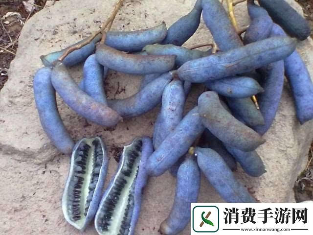 黑瓜吃料每日最新爆料155