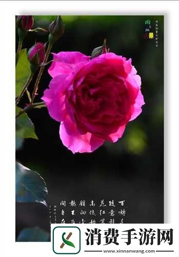亭亭玉立国色天香四月天不堪入目之对比