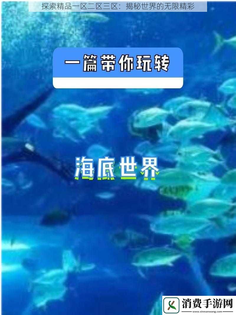 探索精品一区二区三区