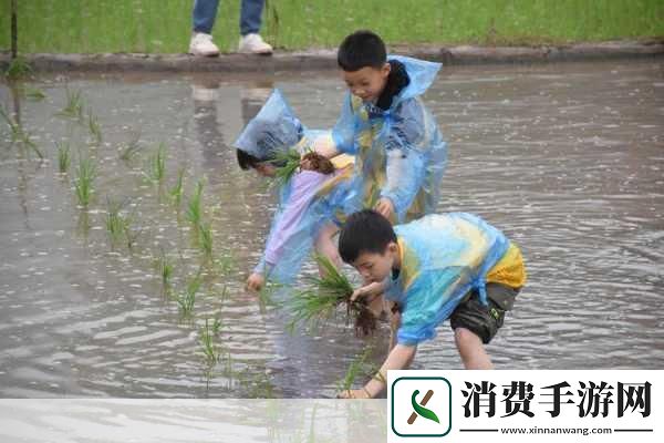 夫妻插秧100种方法图片大全