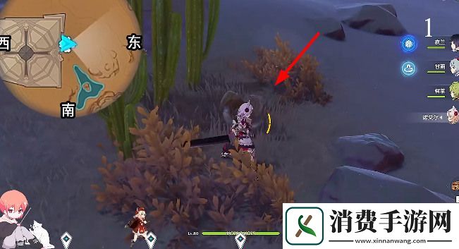 原神金蔷薇种子全收集攻略