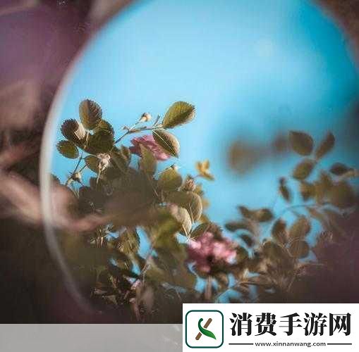 对镜子看我们的结合处1.镜中映照