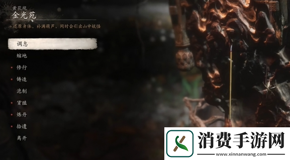 黑神话悟空九转还魂丹如何获取