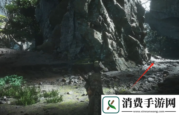 黑神话悟空九转还魂丹如何获取