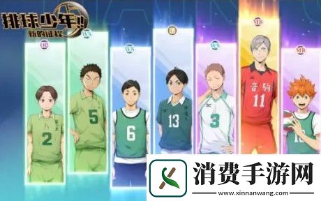 排球少年新的征程国服角色梯度榜