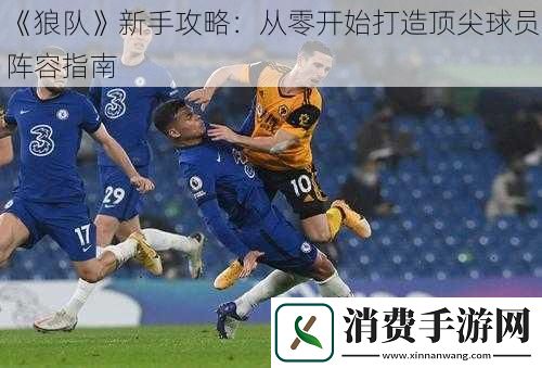 狼队新手攻略