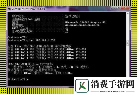 “主机ping不通虚拟机