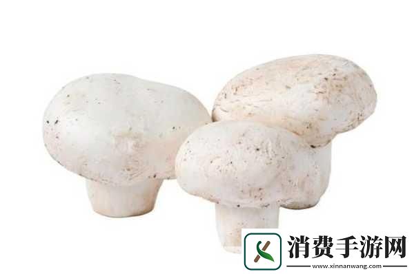 公车上雪柔被猛烈的进出小说日月