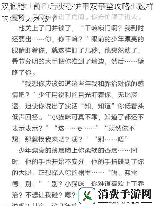 双胞胎一前一后夹心饼干双子全攻略