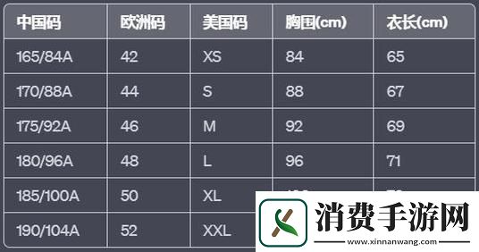 美利坚的代码狂潮