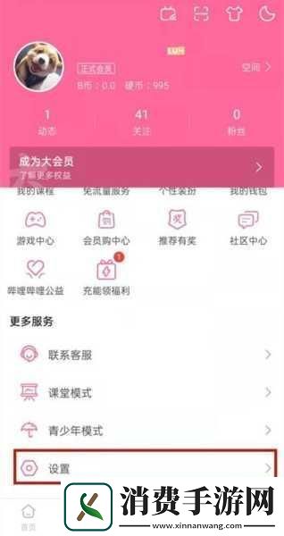 为什么选择免费进入b站哔哩哔哩的好处