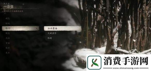 黑神话悟空未来珠怎么获得