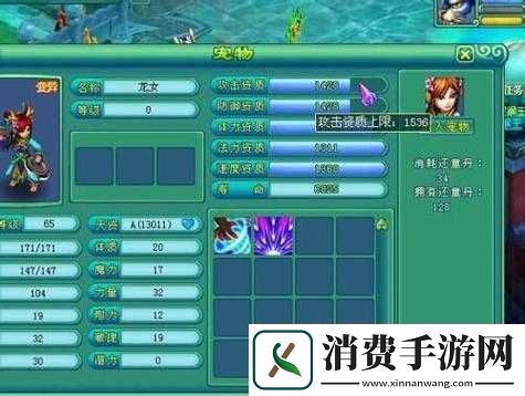 神武手游龙女加点秘籍