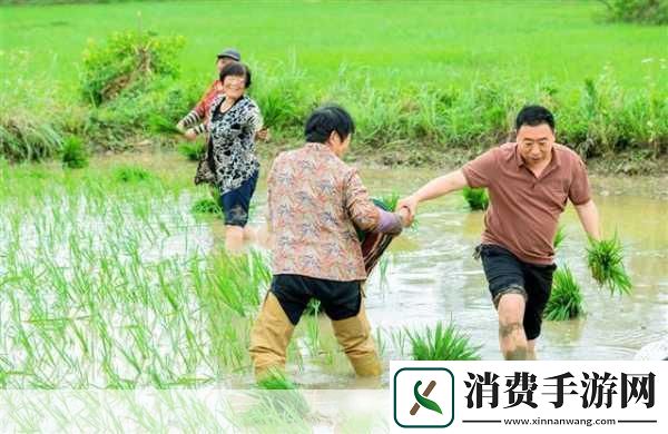 夫妻插秧100种方法图片大全