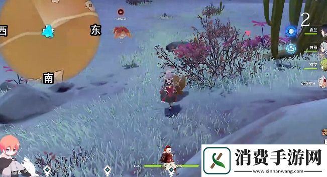 原神金蔷薇种子全收集攻略