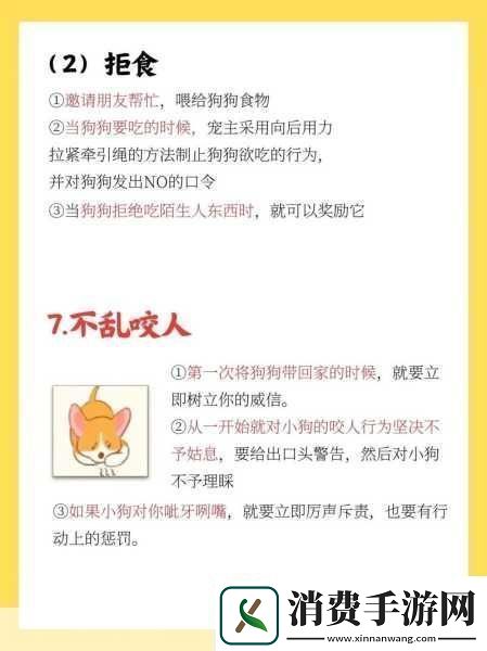 篮球队的公共玩具正伟