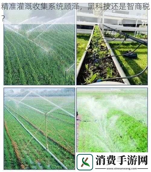 精准灌溉收集系统顾泽