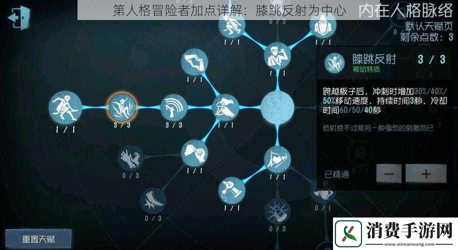 第人格冒险者加点详解