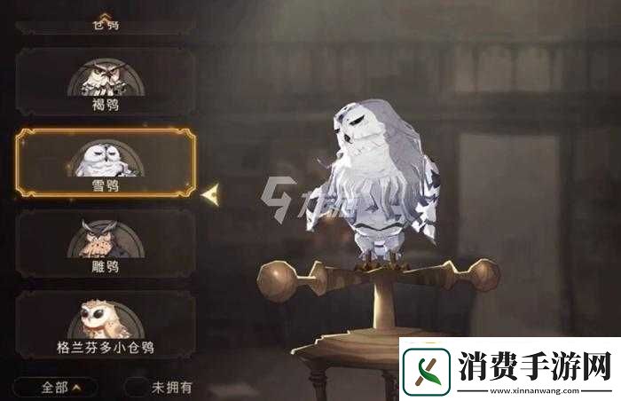 哈利波特魔法觉醒