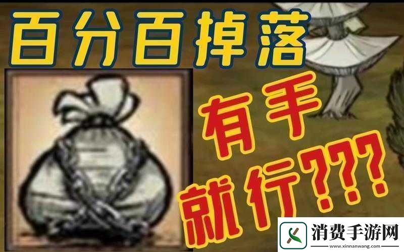 探索饥荒修改小偷背包掉率与掉背包个数之有效方法