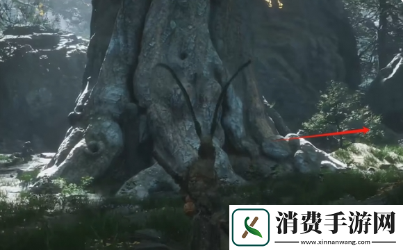 黑神话悟空九转还魂丹如何获取