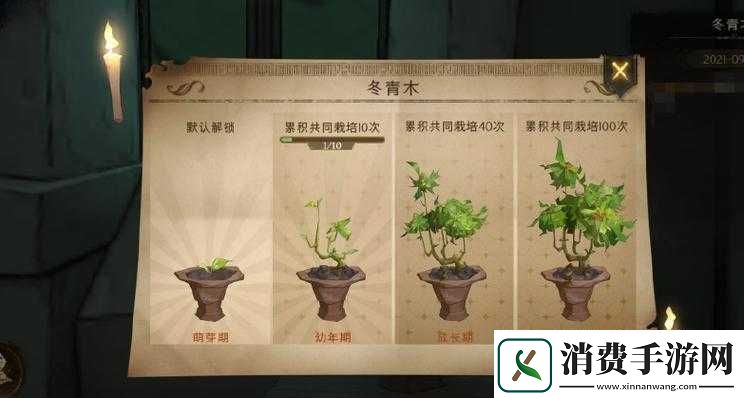 哈利波特魔法觉醒