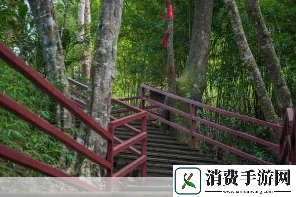 五指山百擞今日黑料主题黑料的定义与影响　　黑料