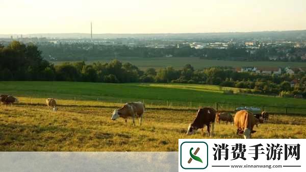 ZoomkooL牧场视频精彩集锦牧场生活的真实写照　　ZoomkooL上传的一系列牧场视频