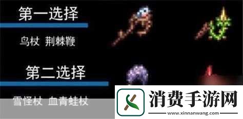 泰拉瑞亚法师肉后初期装备推荐