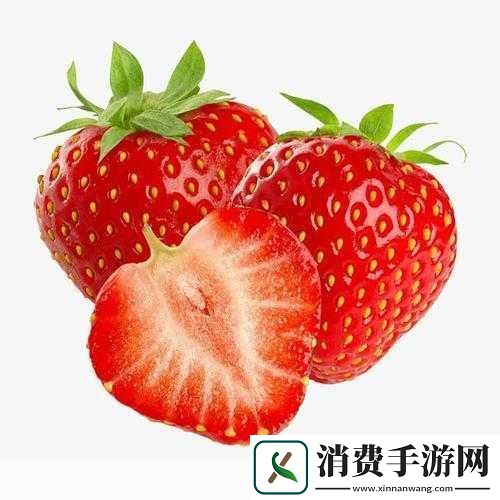 草莓主题游戏的魅力1.