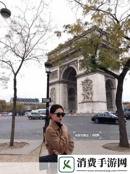 法国满天星酒店服务生