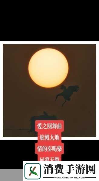 大地资源在线观看免费官