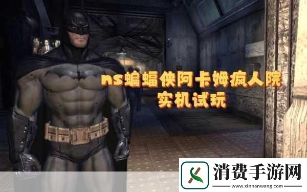 蝙蝠侠之阿卡姆疯人院