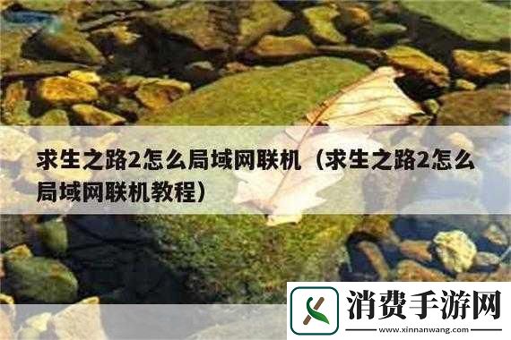 求生之路局域网联机教程1.