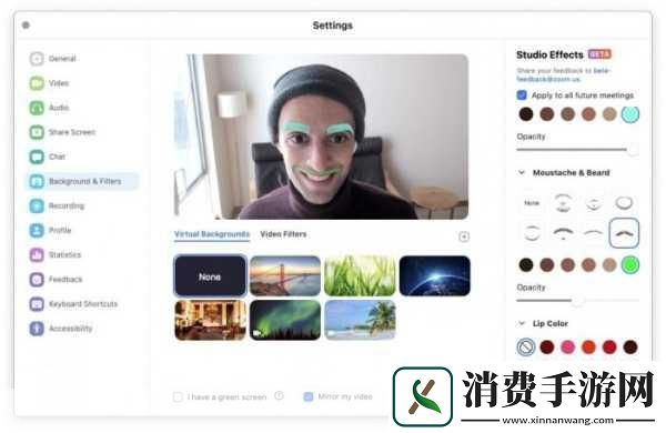Zoom与人马性功能比较引言