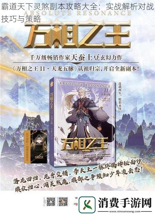 霸道天下灵煞副本攻略大全
