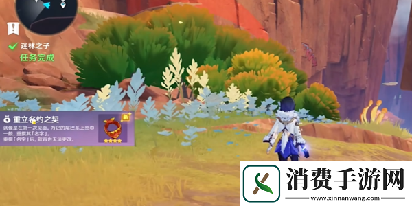 原神5.0迷林之子任务怎么过