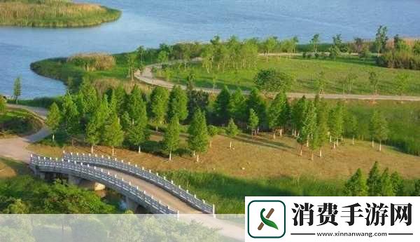 仙林踪