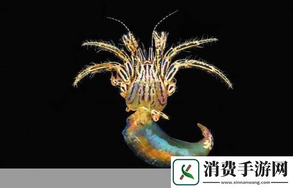 手机游戏的魅力与发展1.