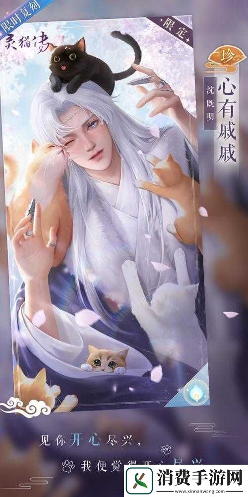 灵猫传珍品花笺卡概率详解与保底机制保障说明