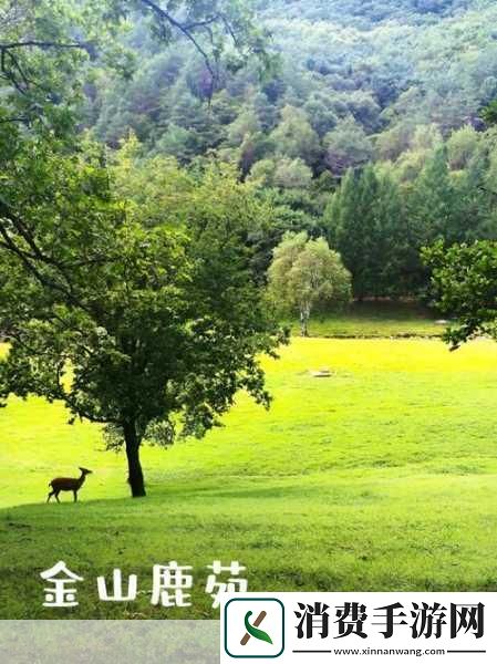 伊春园2024主题探索1.