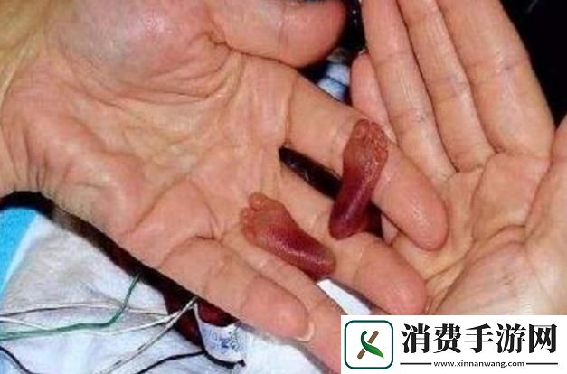 “微”观世界
