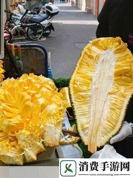 菠萝蜜视频入库