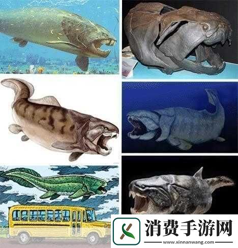 得到超级肉禽系统的紫岭红山有什么特别之处