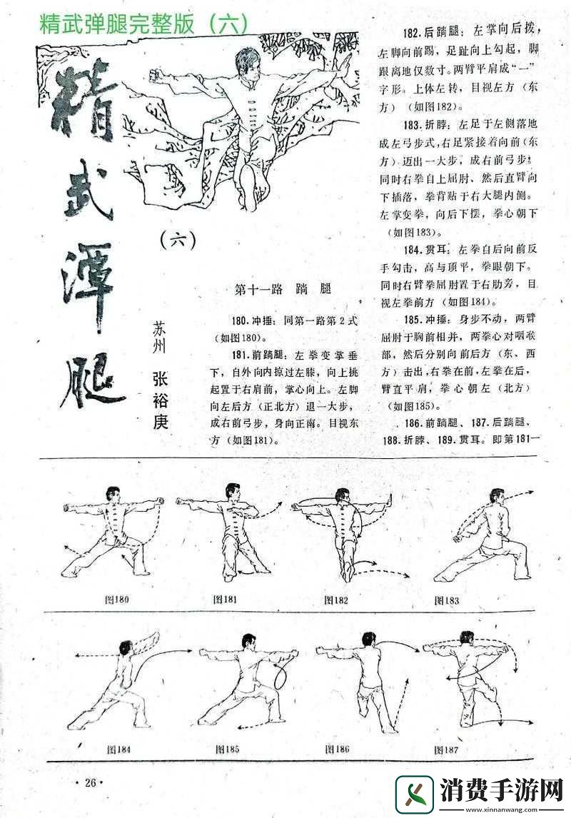 这就是江湖拳弟子配招秘籍思路与方案全面大揭秘