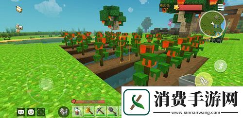 手工星球怎么种植开垦荒地种植方法介绍