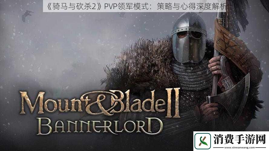 骑马与砍杀2PVP领军模式