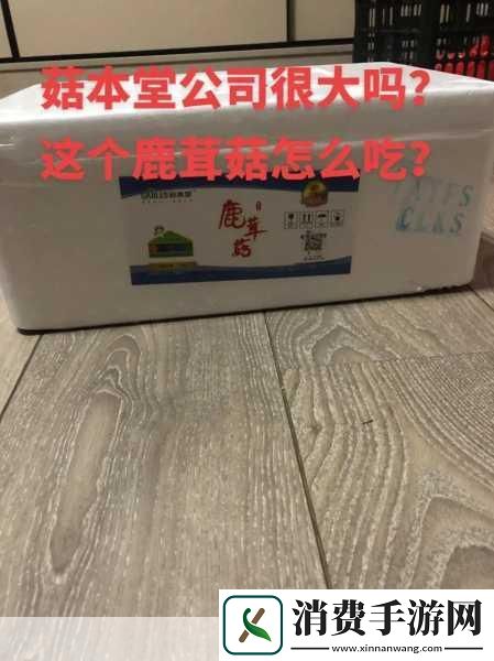 精产国蘑菇品一二三产品区主题解读1.